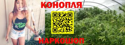 СК Краснодар