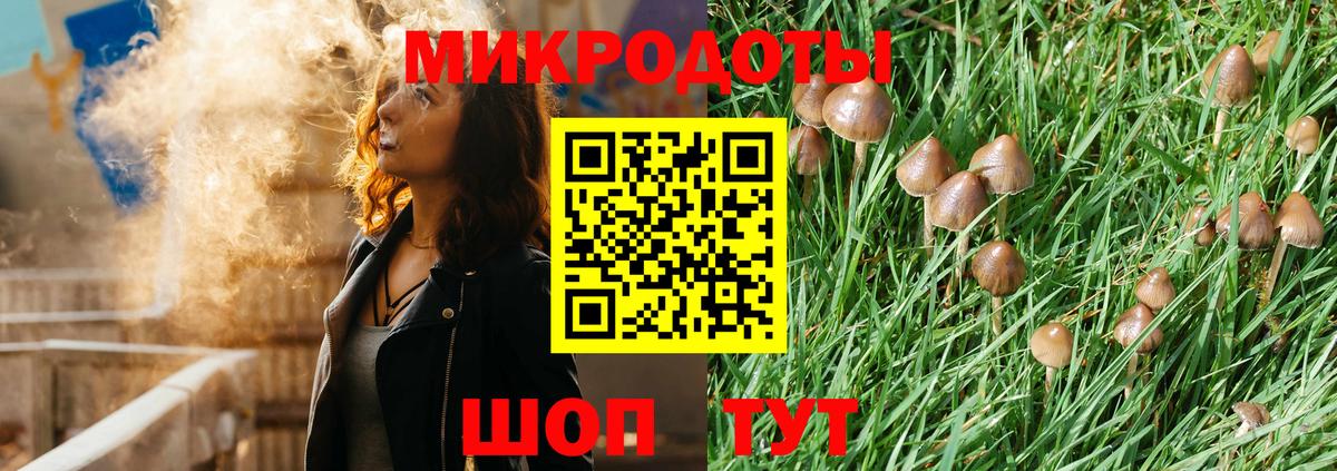 Холмск  Галлюциногенные грибы Magic Shrooms  Вход с VPN  купить наркотик  Псилоцибиновые грибы прущие грибы 
