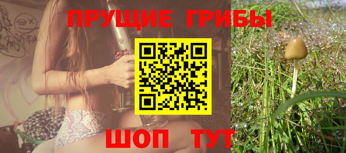Псилоцибиновые грибы MAGIC MUSHROOMS Холмск